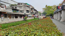 11月9日起，海南省东方市首套住房商贷首付比例调整为25%